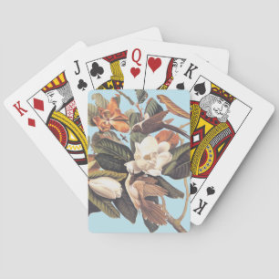Jeu De Cartes Black Billed Cuckoo Birds