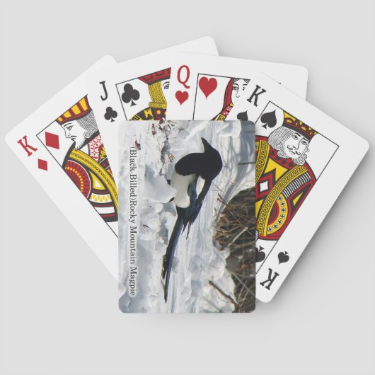 Jeu De Cartes Black Billed Rocky Mountain Magpie jouer cartes (dos)