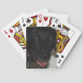 Jeu De Cartes Black Lab (dos)