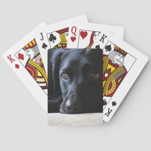 Jeu De Cartes Black Labrador (dos)