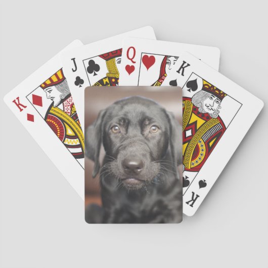 Jeu De Cartes Black Labrador Retriever Puppy Dog (dos)