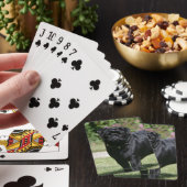 Jeu De Cartes Black Pug (In Situ)