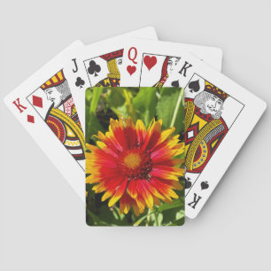 Jeu De Cartes Blanketflower Classic Playing Cartes
