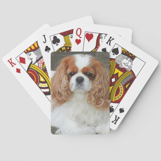 Jeu De Cartes Blenheim Cavalier King Charles Spaniel Chien Chien (dos)