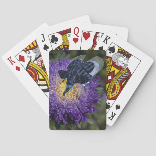 Jeu De Cartes Bleu Rare Elephant Bug (dos)