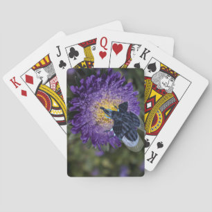 Jeu De Cartes Bleu Rare Elephant Bug
