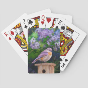 Jeu De Cartes Bleuet de l'Est en neige - Photo originale