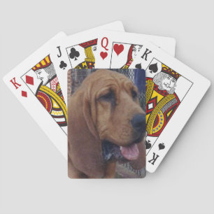 Jeu De Cartes Bloodhound.png