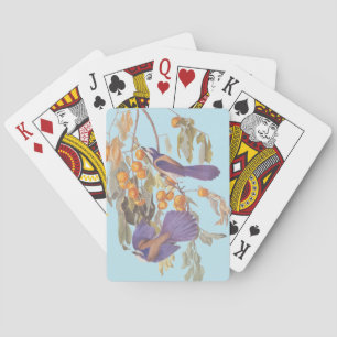 Jeu De Cartes Blue Florida Scrub Jay Audubon Oiseaux avec Orange