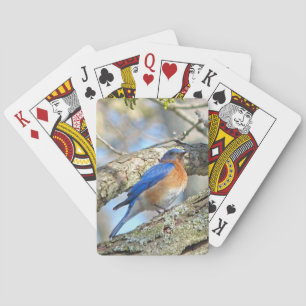 Jeu De Cartes Bluebird