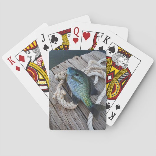Jeu De Cartes bluegill sur quai (dos)