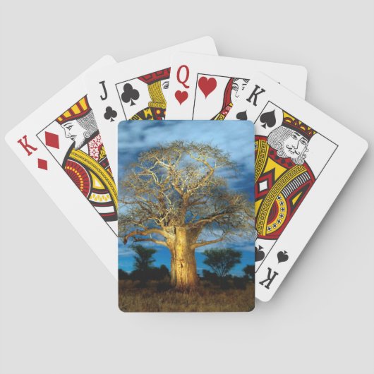 Jeu De Cartes Bobab (Adansonia) Arbre Éclairé Par La Lune (dos)