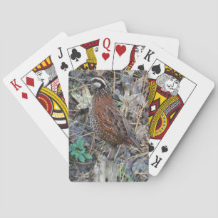 Jeu De Cartes Bobwhite Quail Jouer Cartes, Chasse De Quail