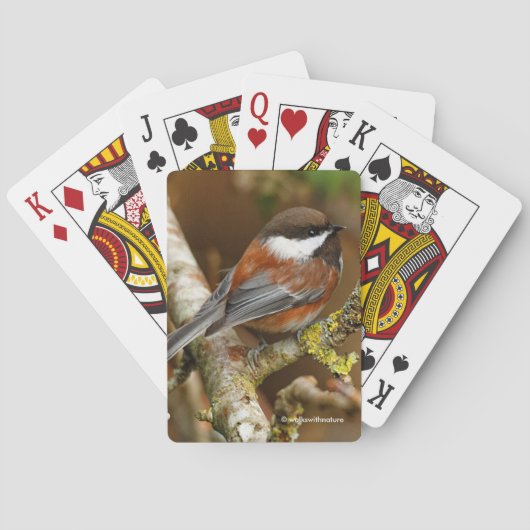 Jeu De Cartes Boeuf mignon à dos de châtaignier dans l'arbre à p (dos)