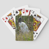 Jeu De Cartes Bois cigogne Oiseau Floride Photographie (dos)