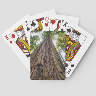 Jeu De Cartes Bois de Roosevelt