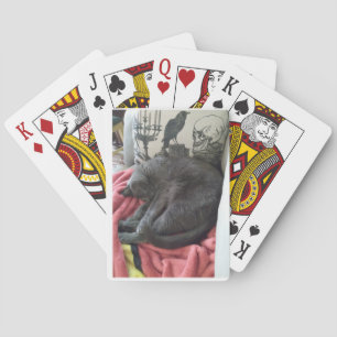 Jeu De Cartes Bonne nuit Madame Classic Jouer aux cartes