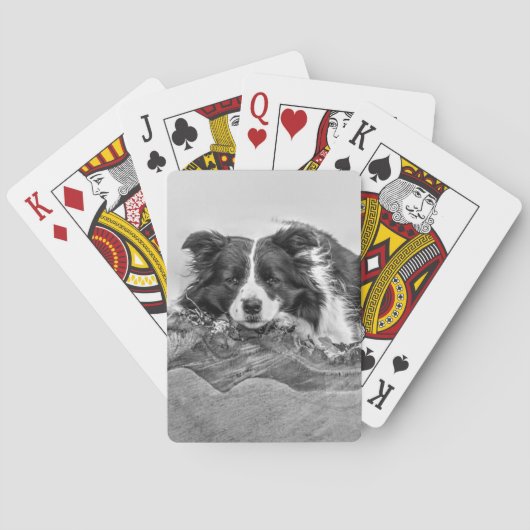 Jeu De Cartes Border collie art (dos)
