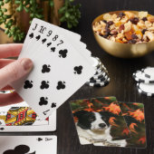 Jeu De Cartes Border Collie Autumn Headshot (In Situ)