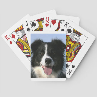 Jeu De Cartes Bordure Collie Chien Jouer des cartes