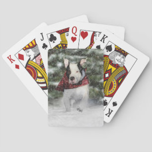 Jeu De Cartes Boule de sauvetage Dashing through