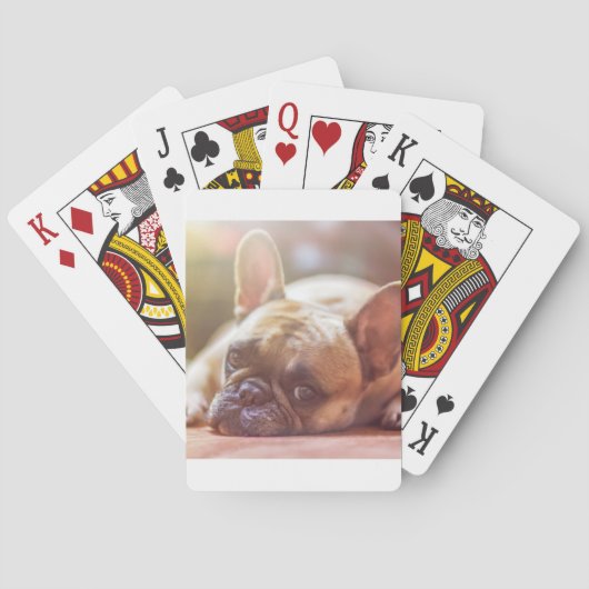 Jeu De Cartes bouledogue français allongé (dos)