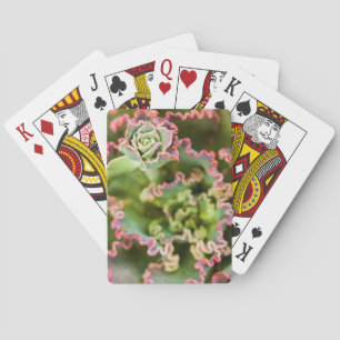 Jeu De Cartes Bourgeon émergent d'une plante Echeveria
