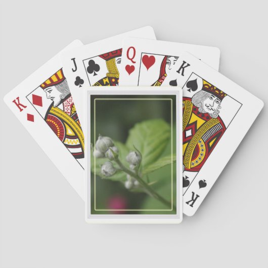 Jeu De Cartes bourgeons de fleur de framboise (dos)
