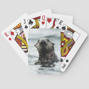 Jeu De Cartes Bouton