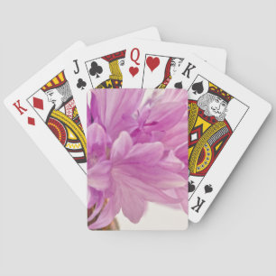 Jeu De Cartes Bouton de mise à jour