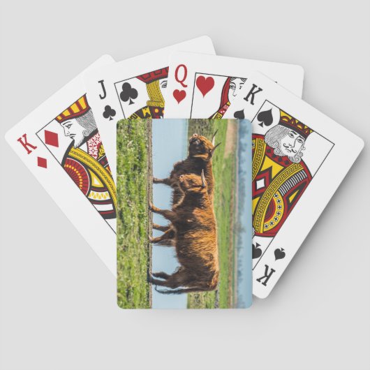 Jeu De Cartes bovins de Wicken Fen (dos)