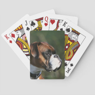 Jeu De Cartes Boxer Dog Side Profile