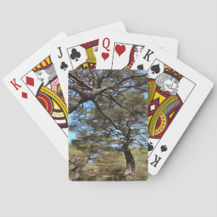 Jeu De Cartes Branches En Tangée Des Pins Perspective Bizarre