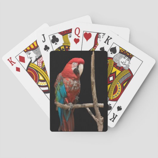 Jeu De Cartes Bright Red and Blue Macaw Bird sur Branche (dos)