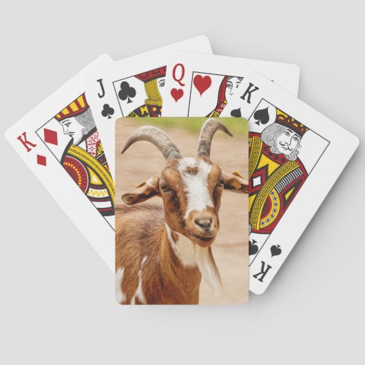 Jeu De Cartes Brown and White Goat (dos)