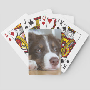 Jeu De Cartes Brown Bordure Collie Chien Jouer Cartes