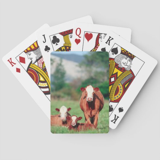 Jeu De Cartes Brown de Hereford (dos)