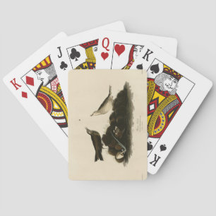 Jeu De Cartes Brown Titlark (Pipit) Audubon's Birds of America
