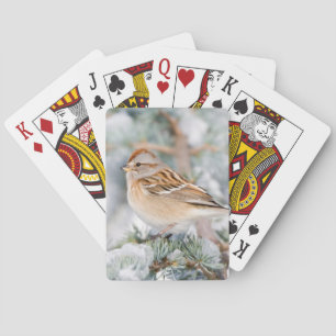 Jeu De Cartes Bruant hudsonien en hiver