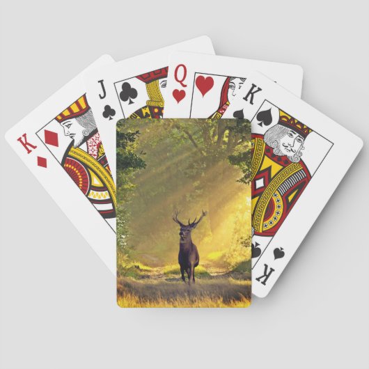 Jeu De Cartes buck Deer (dos)