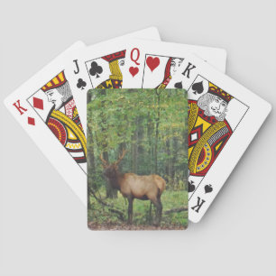 Jeu De Cartes Bull Male Elk à autumn field