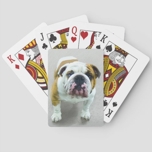 Jeu De Cartes Bulldog Painting - Cute Original Dog Art (dos)