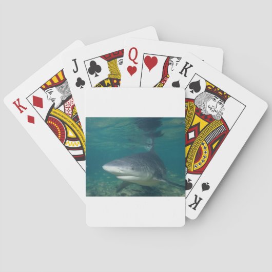 Jeu De Cartes Bullshark (dos)