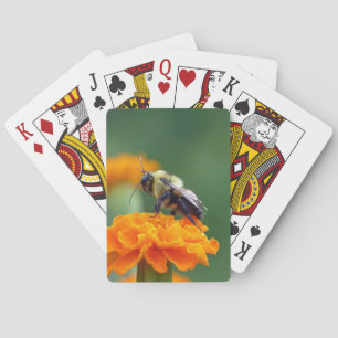 Jeu De Cartes Busy Bee