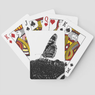 Jeu De Cartes butterfly shy blacq