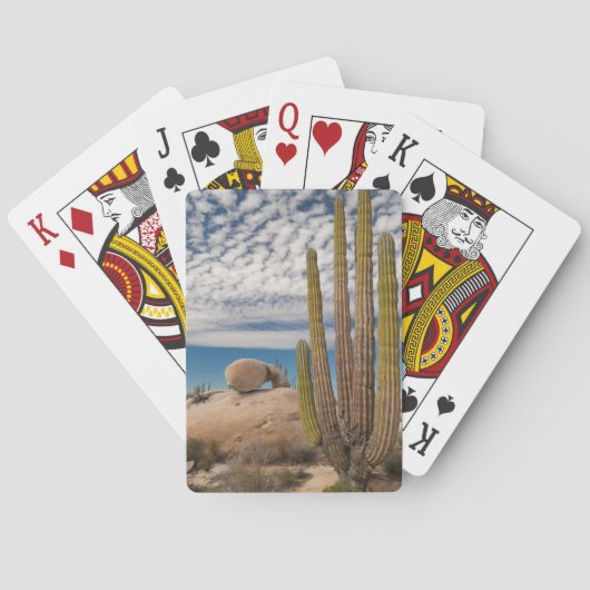 Jeu De Cartes Cactus dans le désert paysagé (dos)