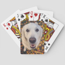 Cadeau pour chien mignon pour les parents d'animau