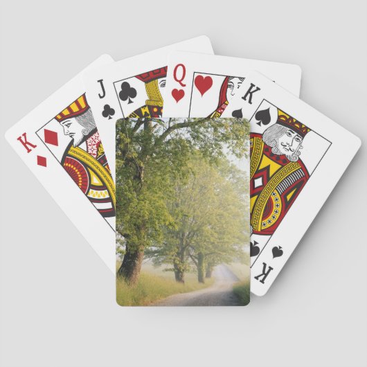 Jeu De Cartes Cades Cove| Great Smokey Mountains, TN (dos)