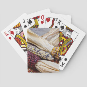 Jeu De Cartes  Californie. Le maïs indien coloré de la récolte d