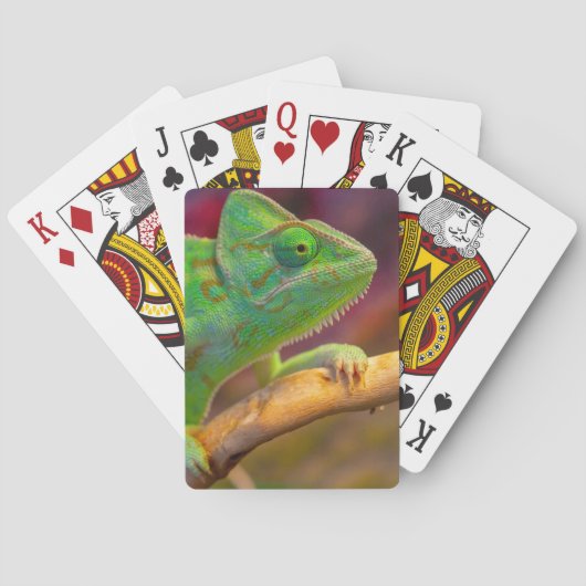 Jeu De Cartes Caméléon Vert (dos)